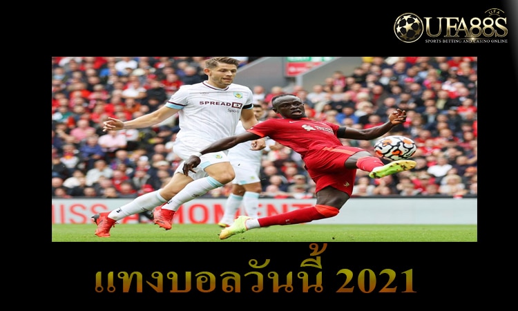แทงบอลวันนี้ฟรี300